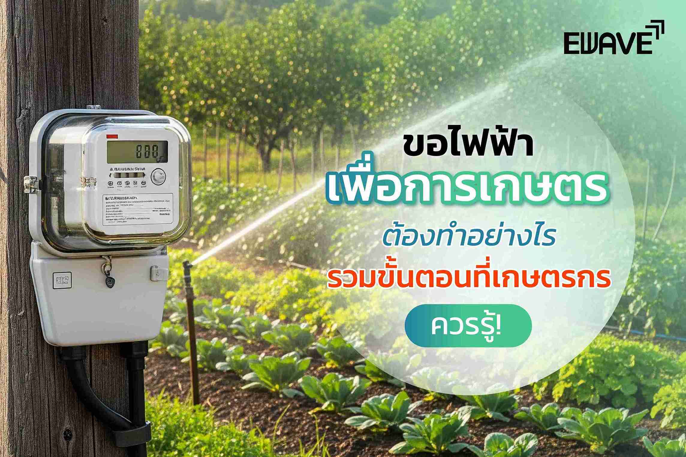 ขอไฟฟ้าเพื่อการเกษตร ต้องทำอย่างไร รวมขั้นตอนที่เกษตรกรควรรู้!