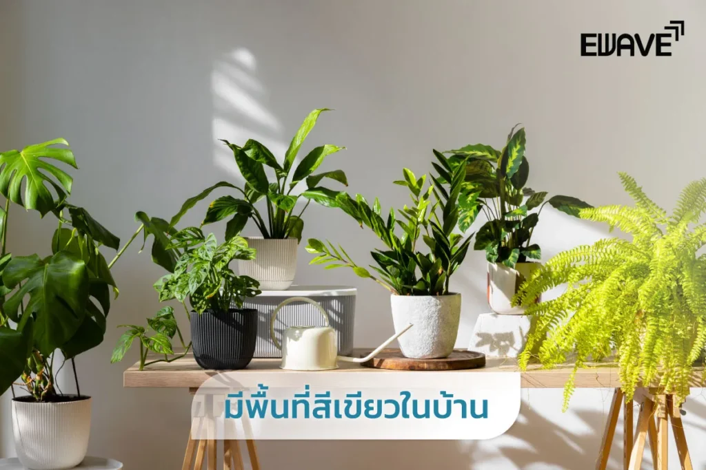 มีพื้นที่สีเขียวในบ้าน