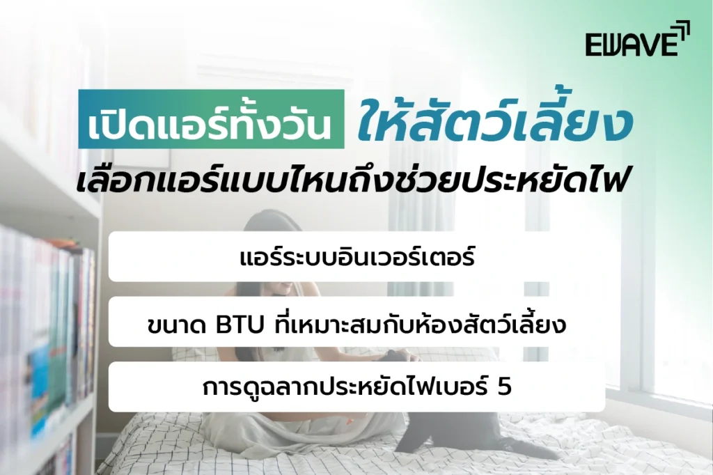 เปิดแอร์ทั้งวันให้สัตว์เลี้ยง เลือกแอร์แบบไหนถึงช่วยประหยัดไฟ