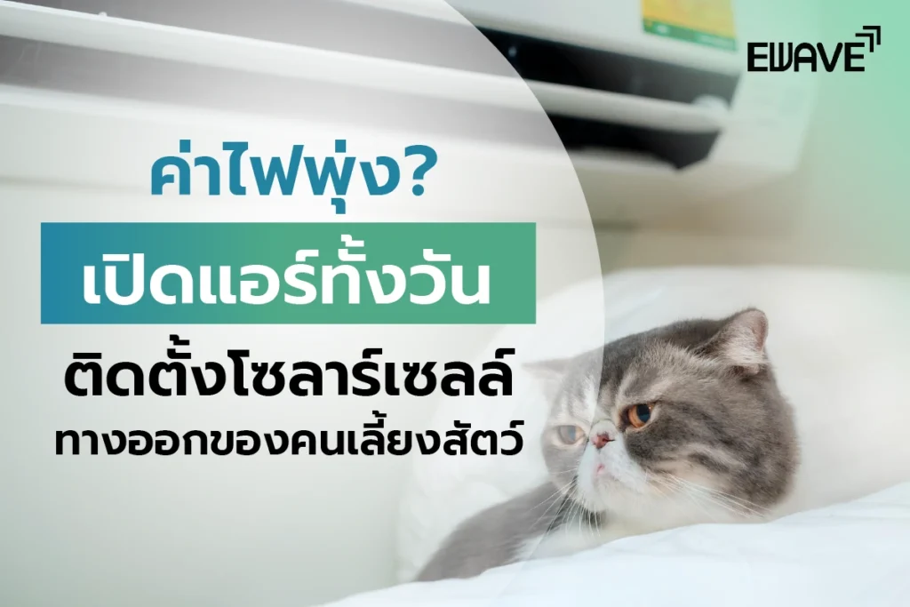 เปิดแอร์ทั้งวัน ค่าไฟพุ่ง? ติดตั้งโซลาร์เซลล์ทางออกของคนเลี้ยงสัตว์